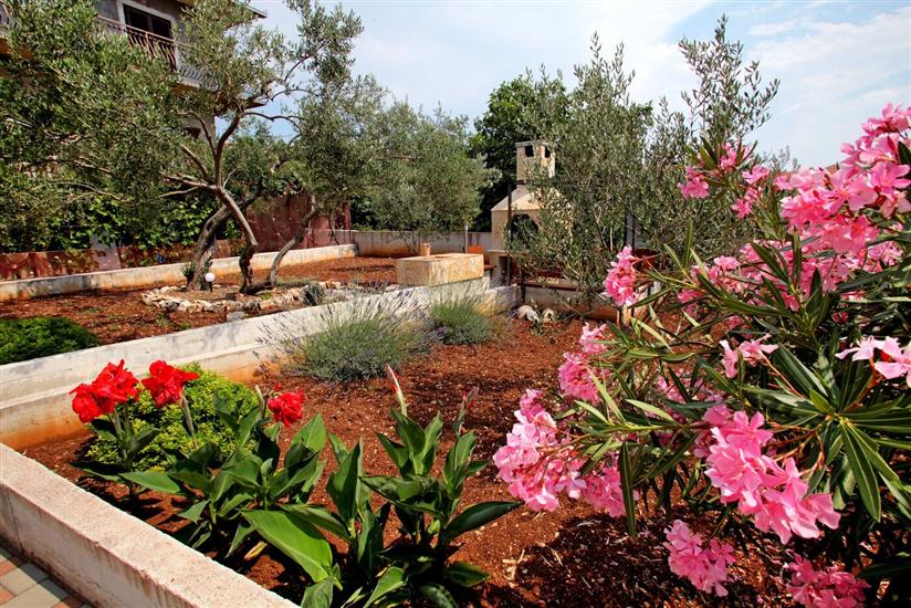 Apartments and Room Maestral