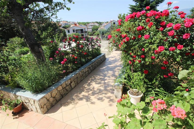 Ferienwohnungen Dragica C.