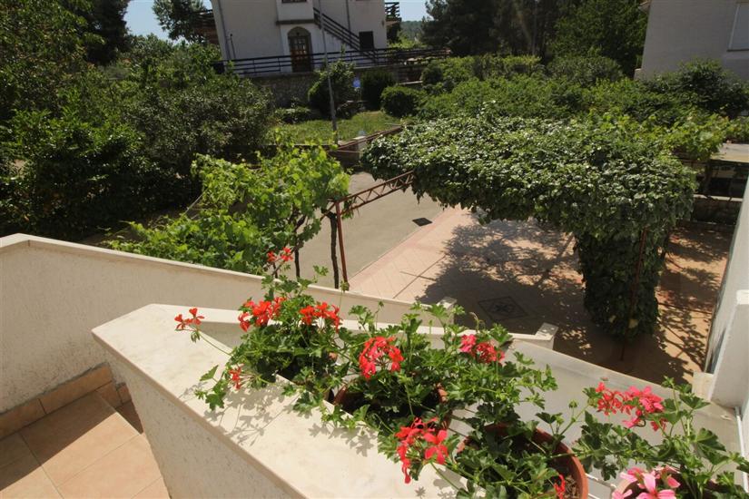 Apartment A1, for 3 persons
