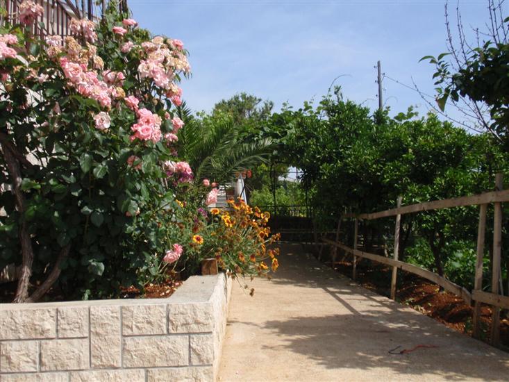 Apartments Ivan  Sea View in Peaceful Lun