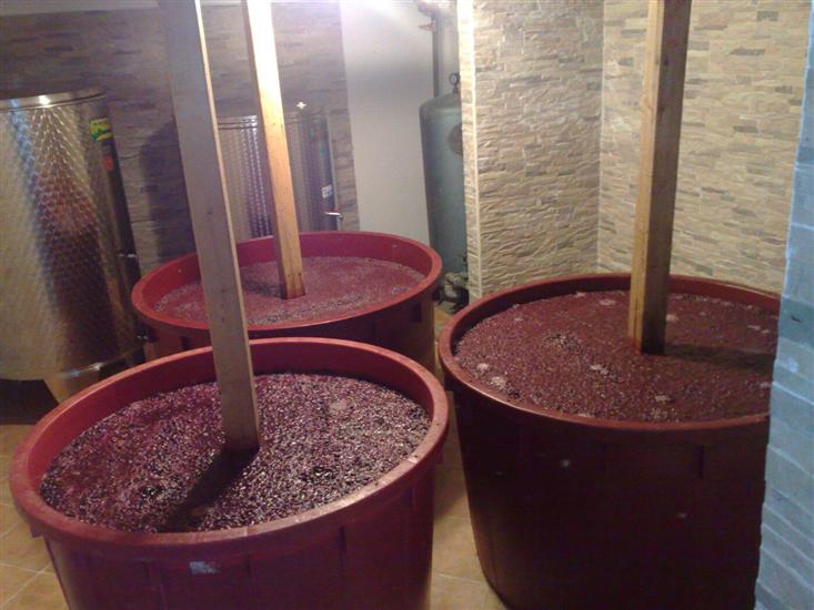 Apartments Ivan Sea View Lun