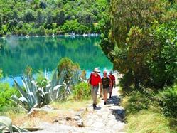 mljet