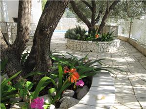 Rooms Falcon Brist, Size 16.00 m2, Accommodation with pool, Airline distance to the sea 30 m