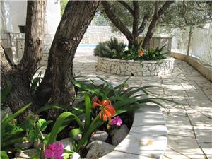 Rooms Sokol Brist, Size 16.00 m2, Accommodation with pool, Airline distance to the sea 30 m