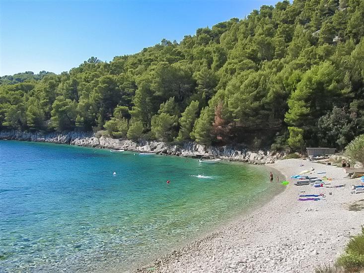 Apartments Robinzon Petar