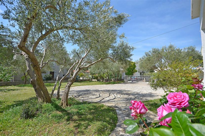 Apartments Diana Lovetovo