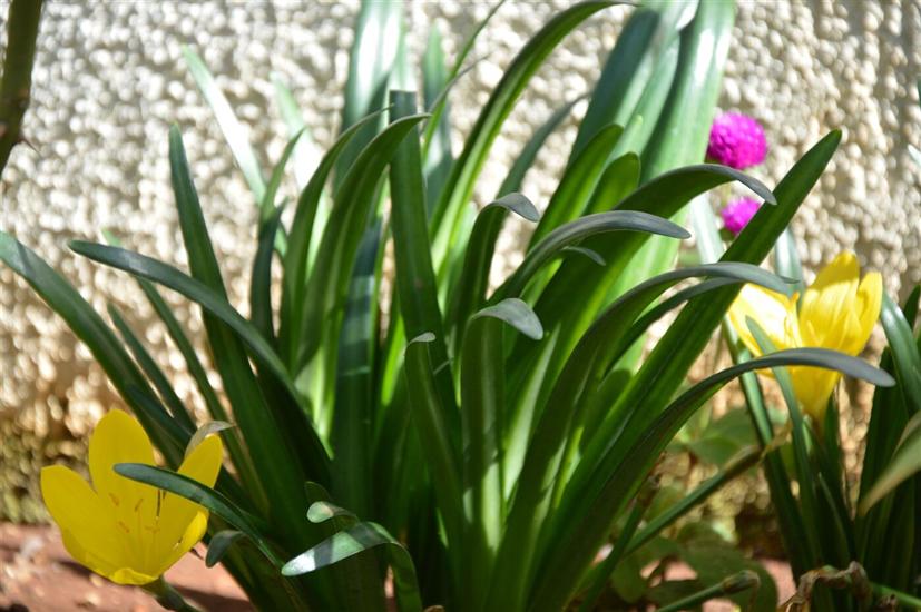 Апартаменты Martin