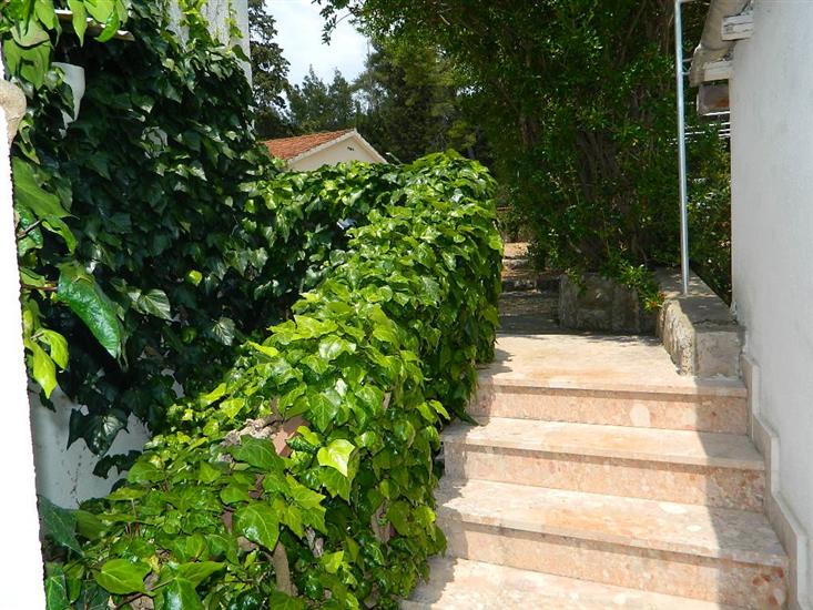 Apartments and Rooms Darinka