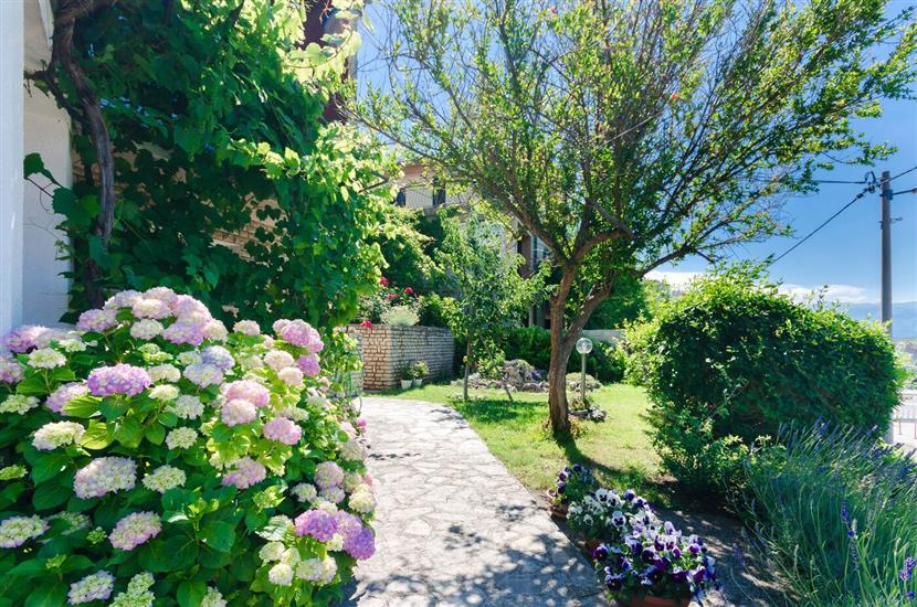 Апартамент Draga