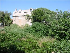 Appartements et Chambres Anita Sumartin - île de Brac, Superficie 12,00 m2, Distance (vol d'oiseau) jusque la mer 100 m, Distance (vol d'oiseau) jusqu'au centre ville 100 m