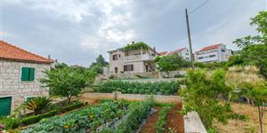 Apartment - Postira - island Brac