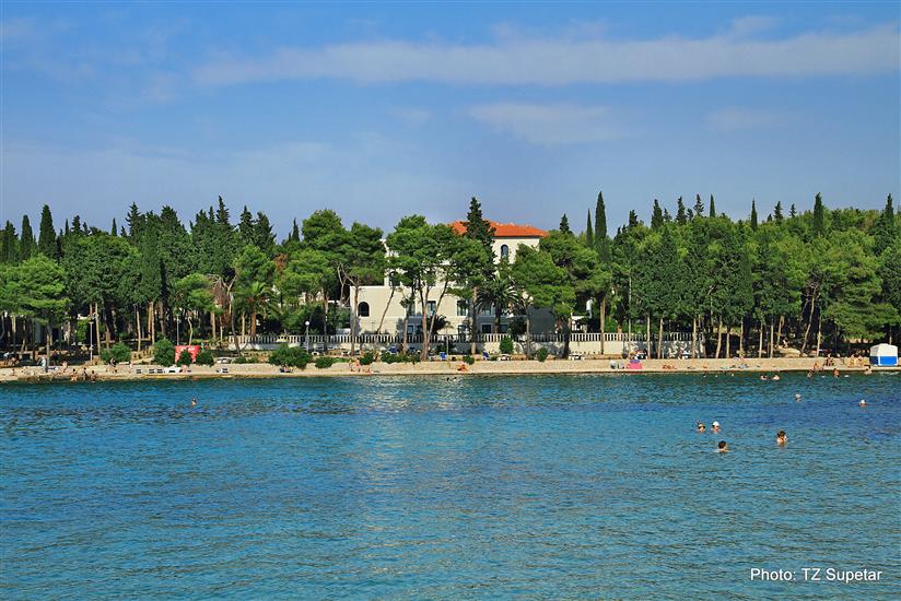 Vela Luka-Supetar (otok Brač)