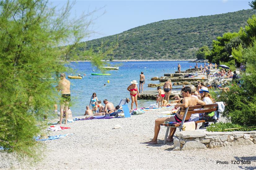 Punta-Maslinica (otok Šolta)