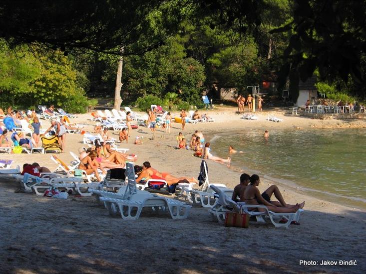 Pine beach-Pakoštane (Biograd)