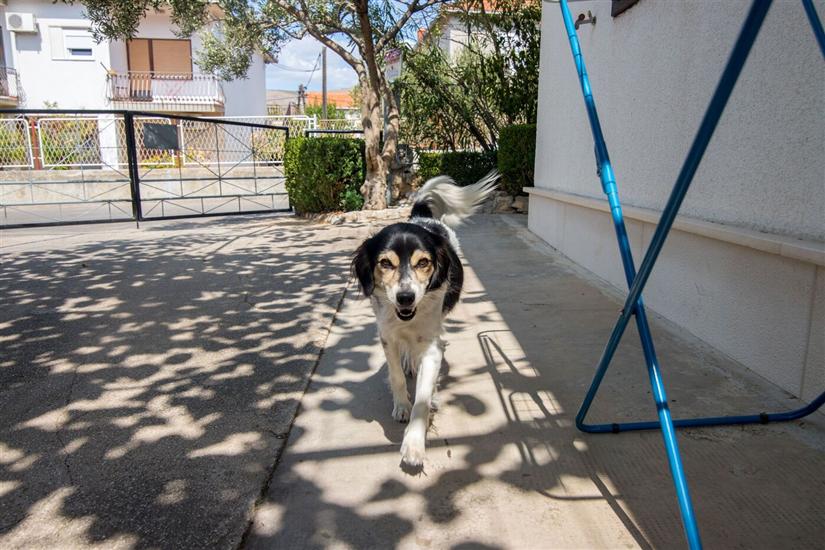 Room S2, for 2 persons