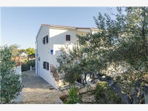 Apartments  Oliva , Size 24.00 m2, Airline distance to the sea 200 m, Airline distance to town centre 400 m