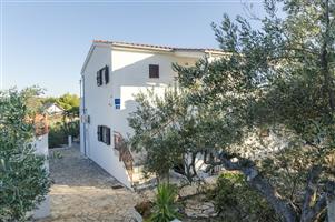 Apartment - Maslinica