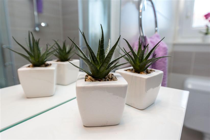 Apartment A1, for 3 persons