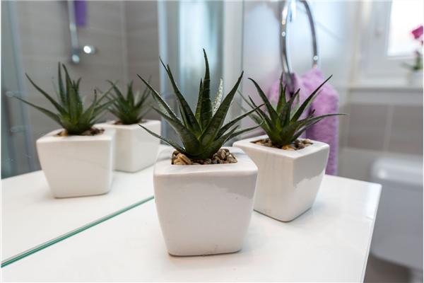 Apartment A1, for 3 persons