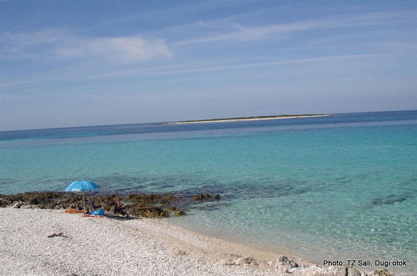 Veli Žal-Brbinj (Dugi otok)