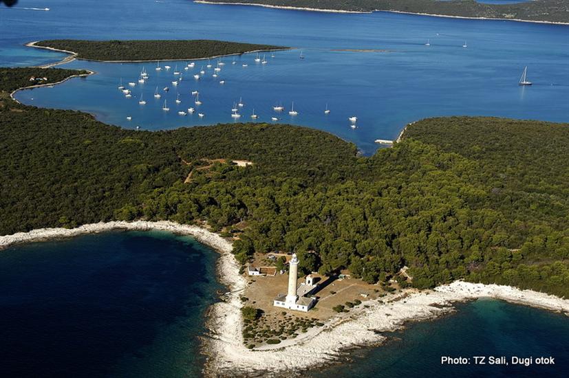 Veli Žal-Brbinj (Dugi otok)