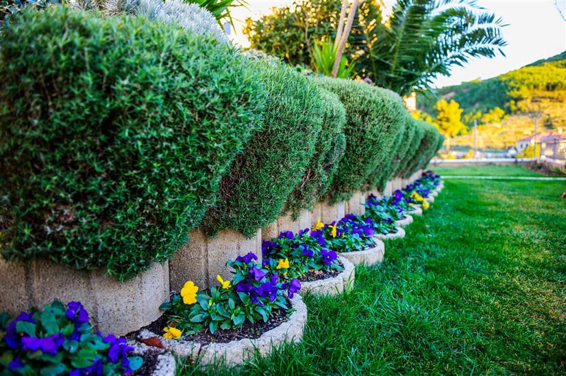 Apartment and Rooms Ana