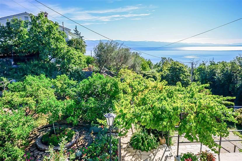 Apartments Mladen Jelica