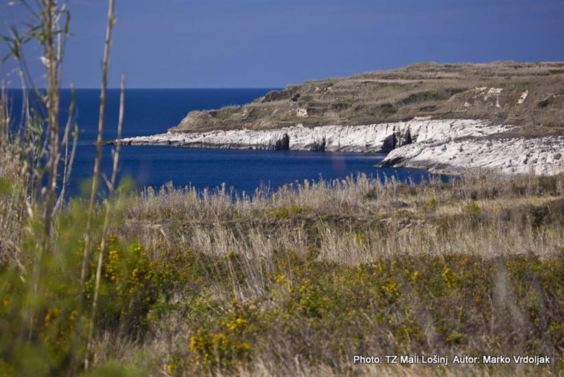 Obis (Ambisi)-Susak (otok Susak)