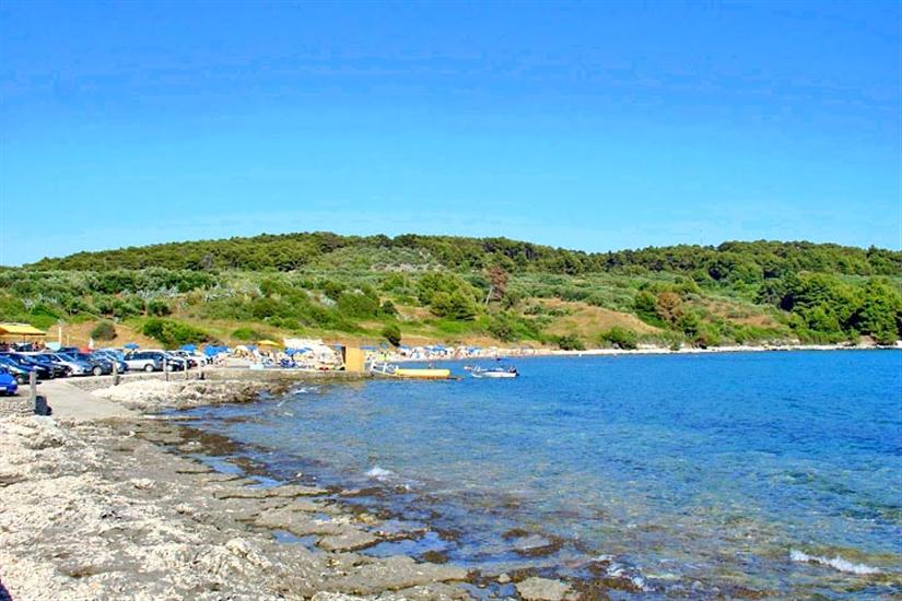 Vela Pržina-Lumbarda (otok Korčula)