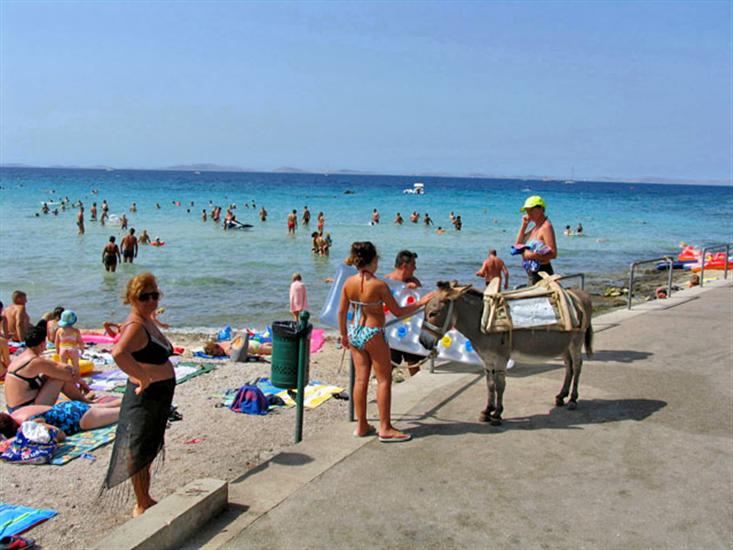 Slanica-Murter (otok Murter)