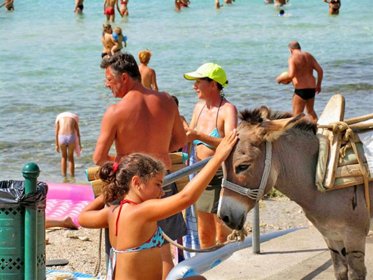 Slanica-Murter (otok Murter)