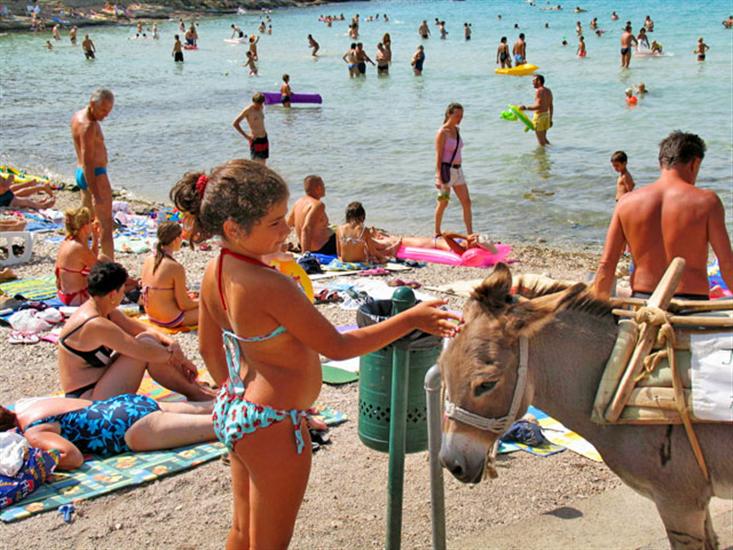 Slanica-Murter (otok Murter)