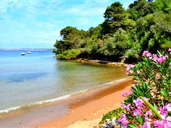 Kostanj Sukosan (Zadar) Plaža