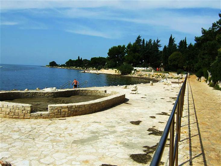 Ladin Gaj-Umag