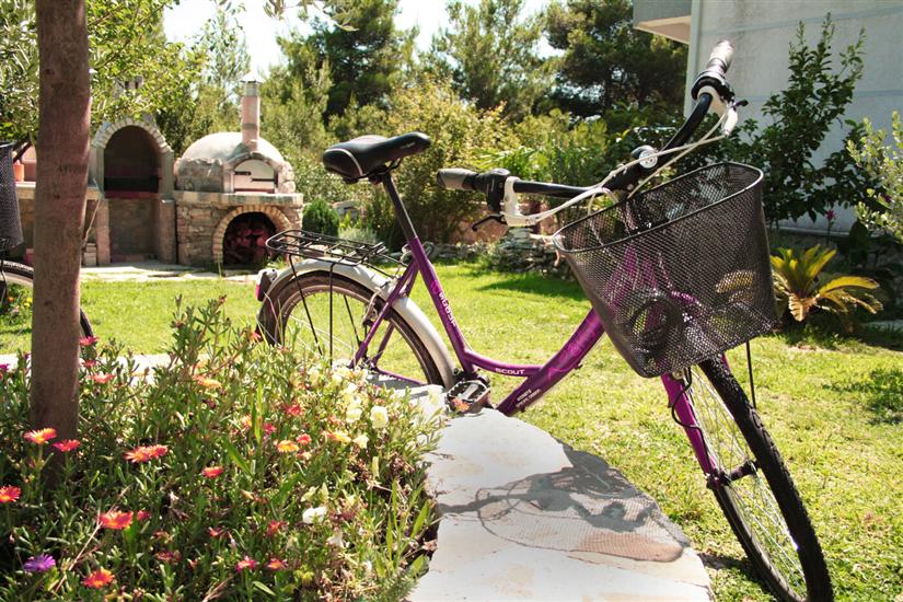 Apartments Wild Beauty