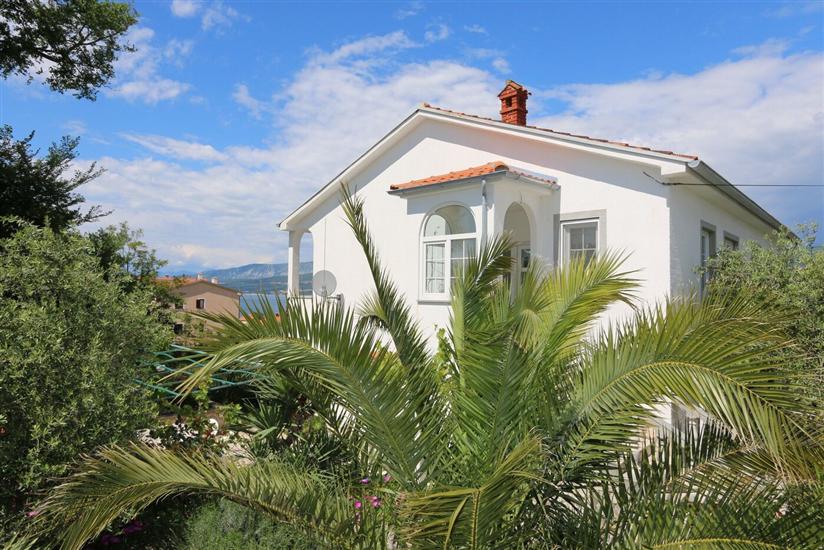 Apartments and Room Morozin