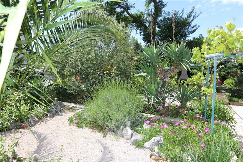 Apartments and Room Morozin