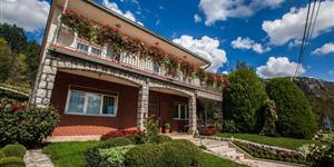 Apartament - Bribir
