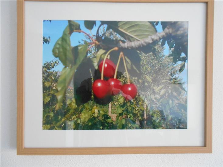 Apartment A2, for 5 persons