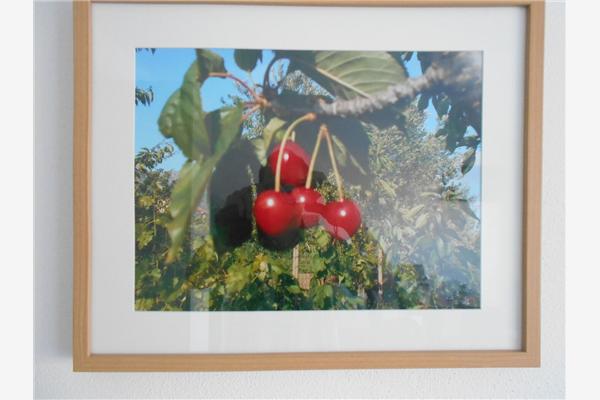 Apartment A2, for 5 persons