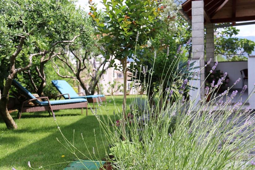 Apartment A3, for 3 persons