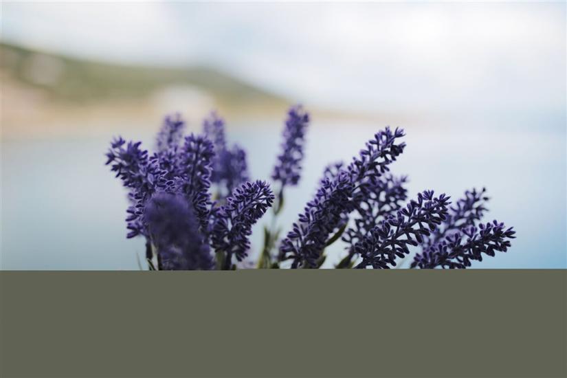 Apartment A1, for 2 persons