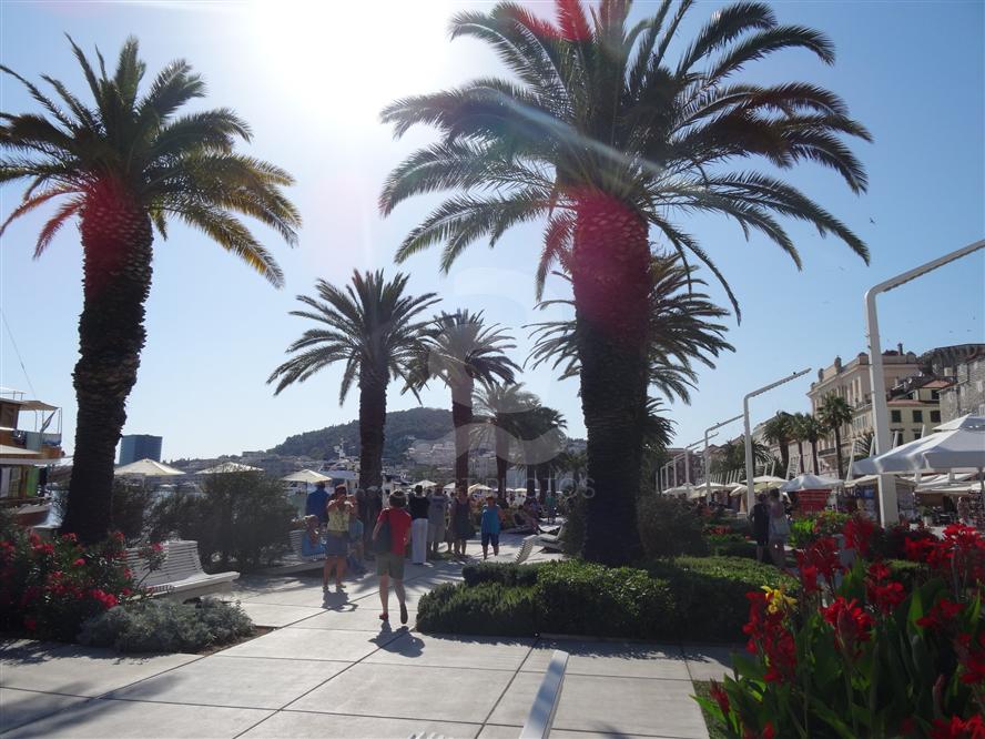 Promenade-in-Split-Riva