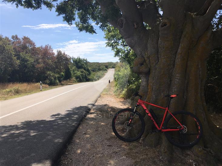 Malinska - island Krk