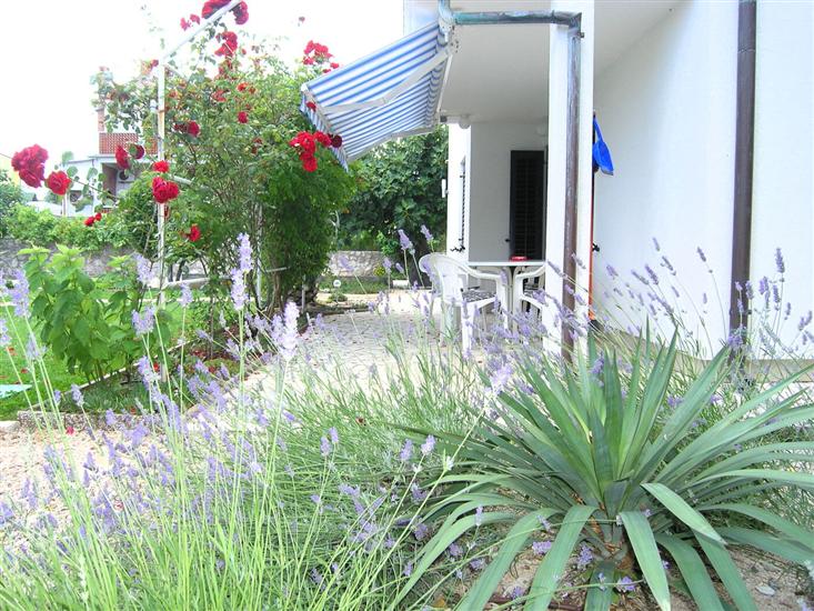 Апартаменты A3, для 4 лиц