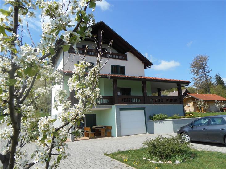 Apartments and Room Robert