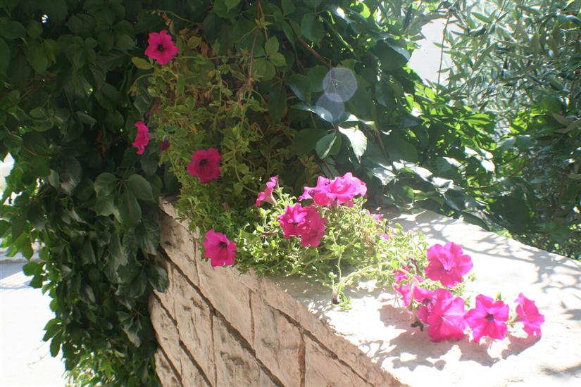 Apartments and Rooms LEA