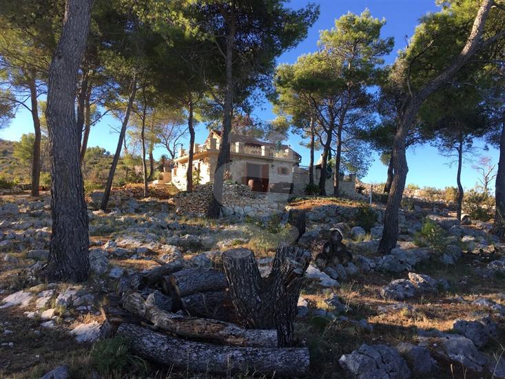 House Vesna Kupinova