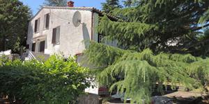 Apartment - Malinska - island Krk