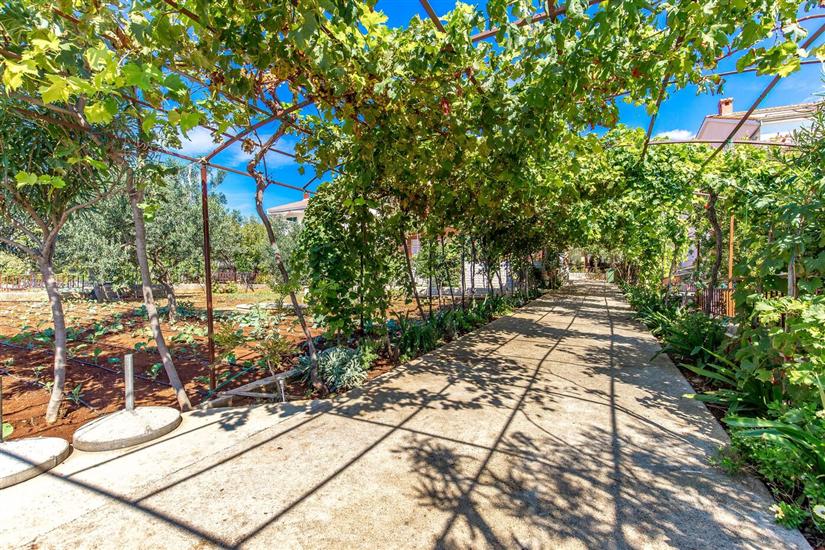 Apartments Ivan  Sea View in Peaceful Lun